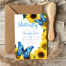 Kleine Butterfly Sonnenblume Cobalt Blue Baby Dusc