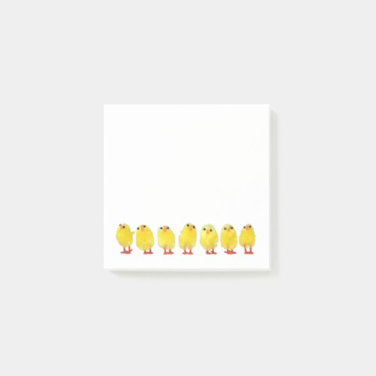 Kleine Chicks Post-it Klebezettel (Vorderseite)