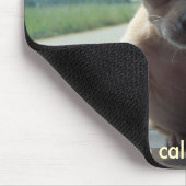 Kleine Chihuahua Mousepad (Ecke)