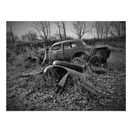 "Kleine Chompers" Fotodruck