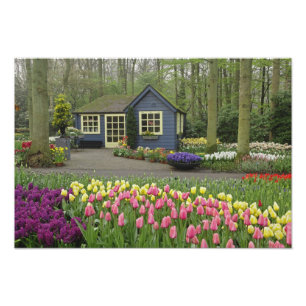 Kleine Cottage-Blumenhandlung, Keukenhof-Gärten, Fotodruck