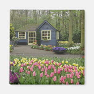 Kleine Cottage-Blumenhandlung, Keukenhof-Gärten, Magnet