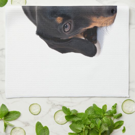 Kleine Dackel Küchentuch (Gefaltet)