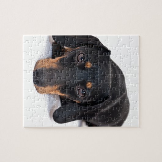 Kleine Dackel Puzzle (Horizontal)