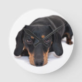 Kleine Dackel Runde Wanduhr (Vorderseite)