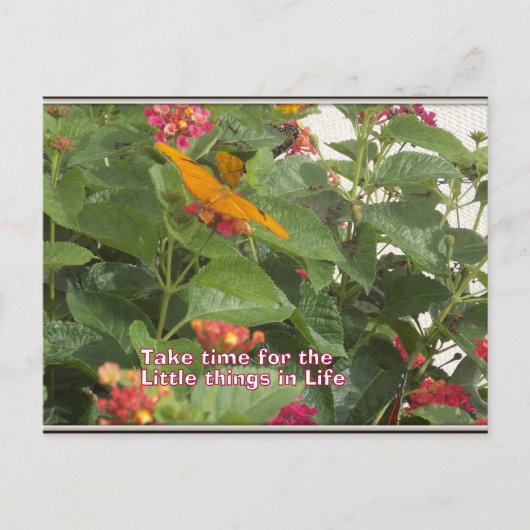 Kleine Dinge im Leben Postkarte (Vorderseite)