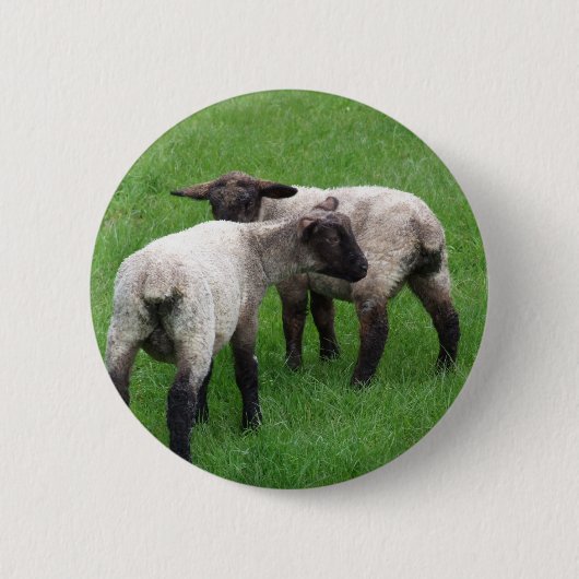 Kleine Doppellämmer Button (Vorderseite)