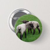 Kleine Doppellämmer Button (Vorne & Hinten)