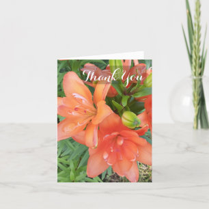 Kleine Double You Asiate Lily Orange Blume Dankeskarte