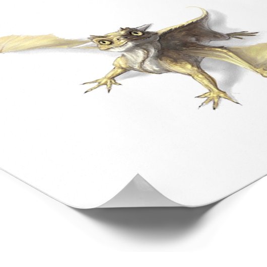 Kleine Drache Poster (Ecke)