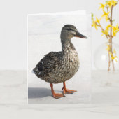 Kleine Duck Karte (Gelbe Blume)