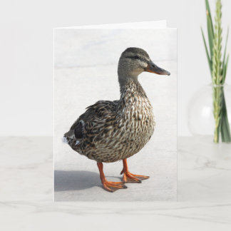 Kleine Duck Karte