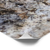 Kleine Eidechse im Sonnenlicht Poster (Ecke)