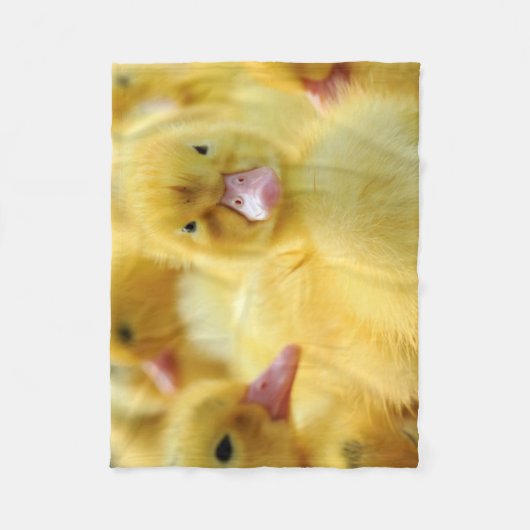 Kleine Enten Fleecedecke (Vorderseite)