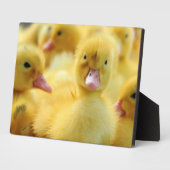 Kleine Enten Fotoplatte (Seite)