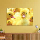 Kleine Enten Leinwanddruck (Insitu (Wohnzimmer))