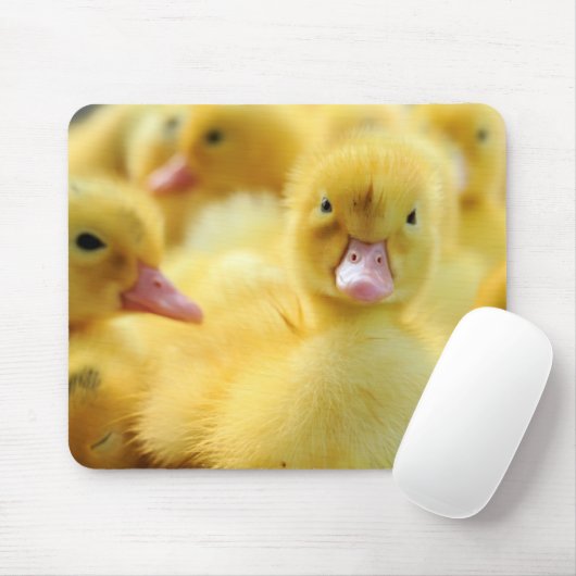 Kleine Enten Mousepad (Mit Mouse)