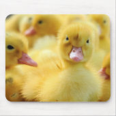 Kleine Enten Mousepad (Vorne)
