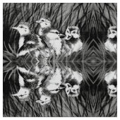 Kleine Enten Stoff (Nahaufnahme)