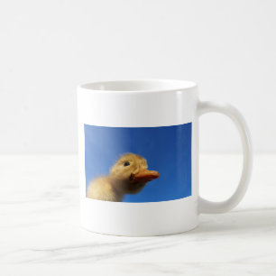 kleine Entenlinge vor blauem Himmel Kaffeetasse