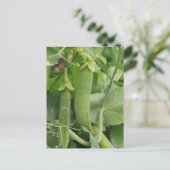 Kleine Erbsen des Sommers Postkarte (Stehend Vorderseite)