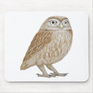 Kleine Eule 2011 Mousepad