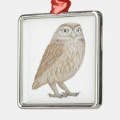 Kleine Eule 2011 Ornament Aus Metall (Links)