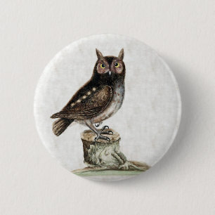 Kleine Eule Button
