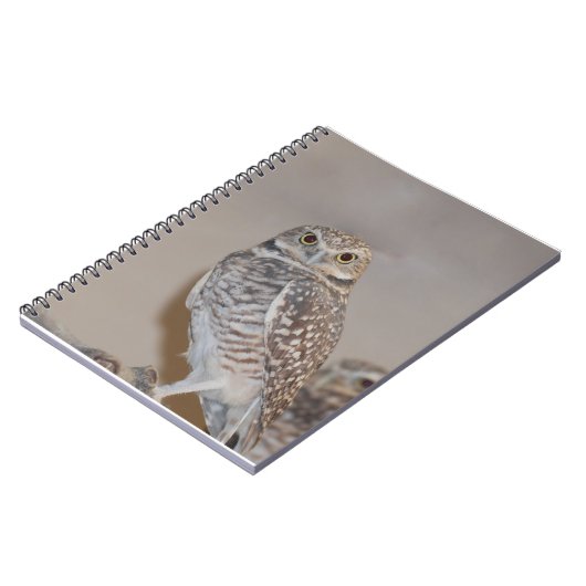 Kleine Eule Notizblock (Linke Seite)