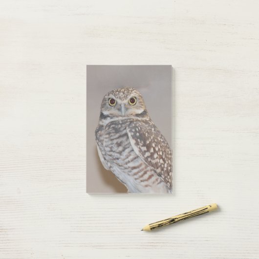 Kleine Eule Post-it Klebezettel (Auf Schreibtisch)