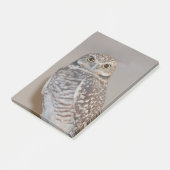 Kleine Eule Post-it Klebezettel (angewinkelt)