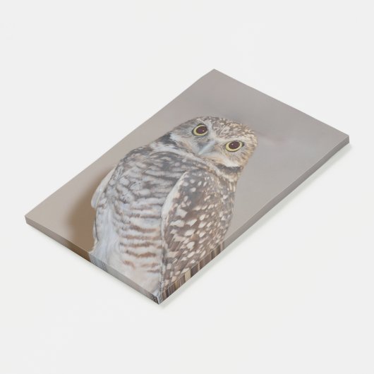 Kleine Eule Post-it Klebezettel (angewinkelt)