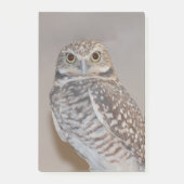 Kleine Eule Post-it Klebezettel (Vorderseite)