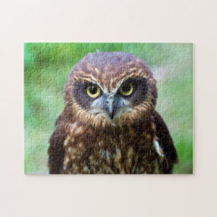Kleine Eulen-Puzzle Puzzle