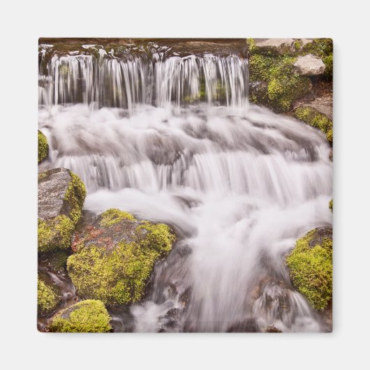 Kleine Fälle in Yosemite Magnet (Vorne)