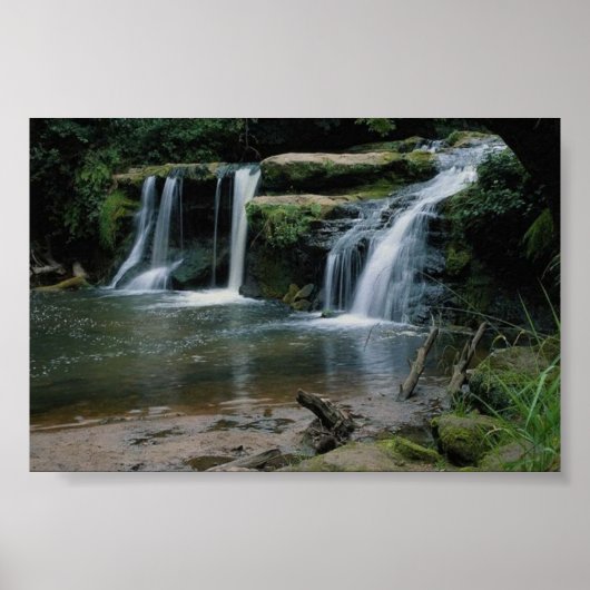 Kleine Fälle Poster (Vorne)