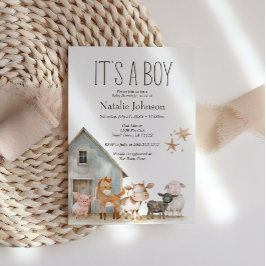 Kleine Farm Kinderzimmer Tiere Junge Dusche Einladung