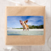 Kleine Ferkel (Insitu)