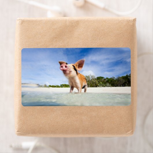 Kleine Ferkel (Insitu)