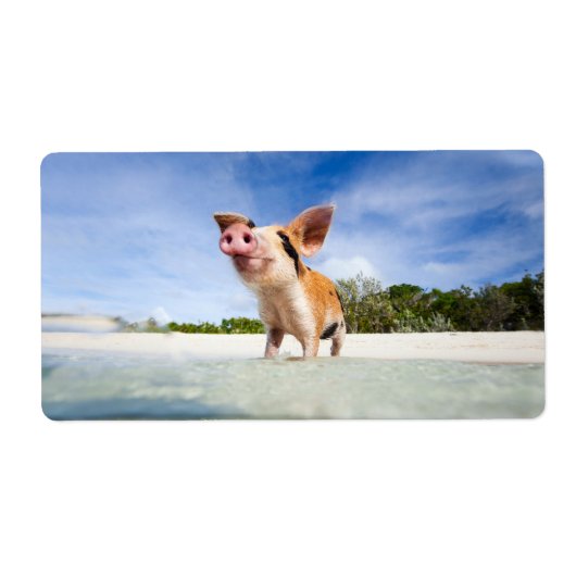 Kleine Ferkel (Vorne)