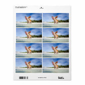 Kleine Ferkel (Vorne)