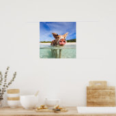 Kleine Ferkel Poster (Küche)