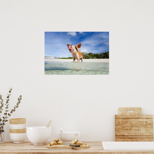 Kleine Ferkel Poster (Küche)