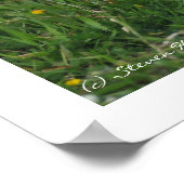 Kleine Ferkel Wandern in Blume Poster (Ecke)