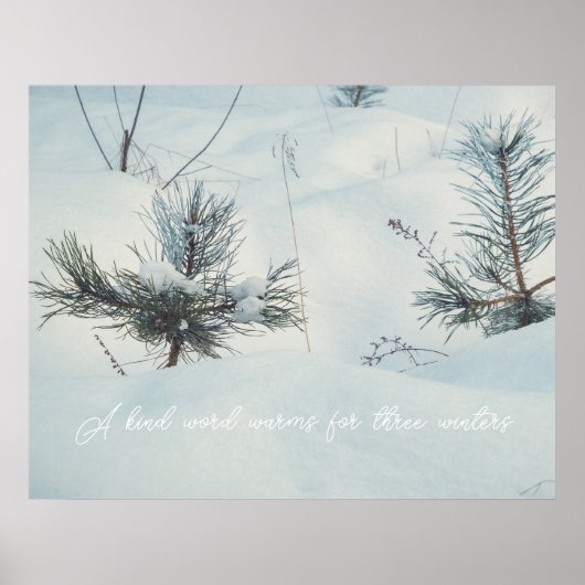 Kleine Fichten unter Schnee Poster (Vorne)