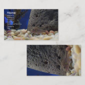 Kleine Fisch-Visitenkarte Visitenkarte (Vorne/Hinten)