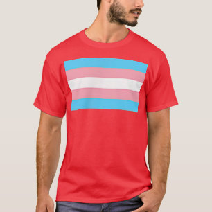 Kleine Flagge Subtle Trans Prix Transgender Rights T-Shirt