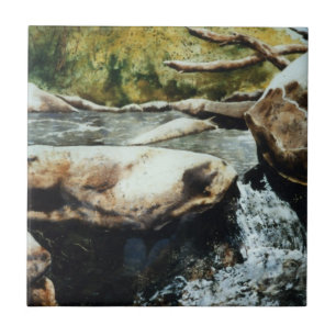 Kleine Forelle Fluss Wasserfälle Wasserfarbe. Fliese