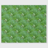 Kleine Frösche.... Geschenkpapier (Flach)