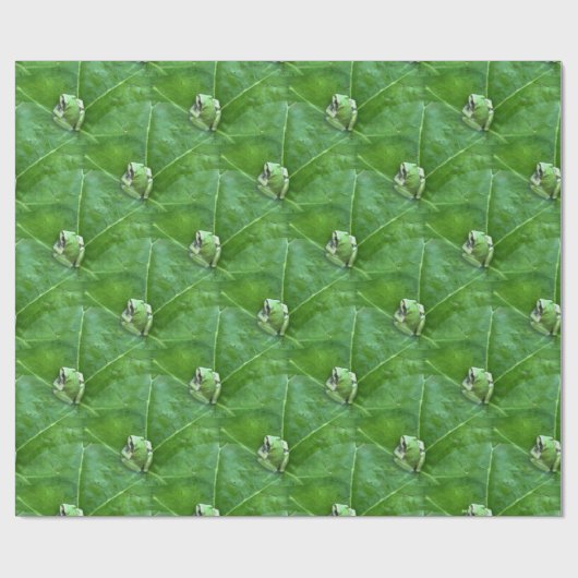 Kleine Frösche.... Geschenkpapier (Flach)